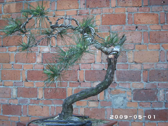 PHOT0072.JPG