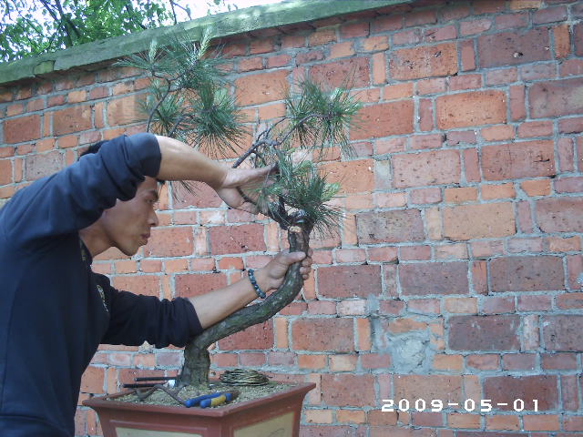PHOT0069.JPG