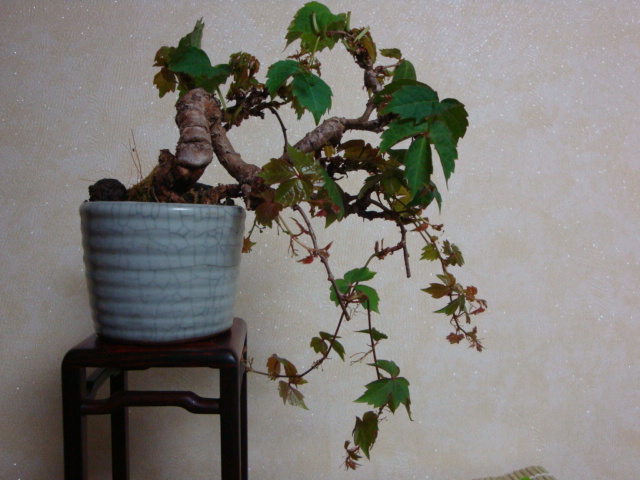 DSC08752.JPG