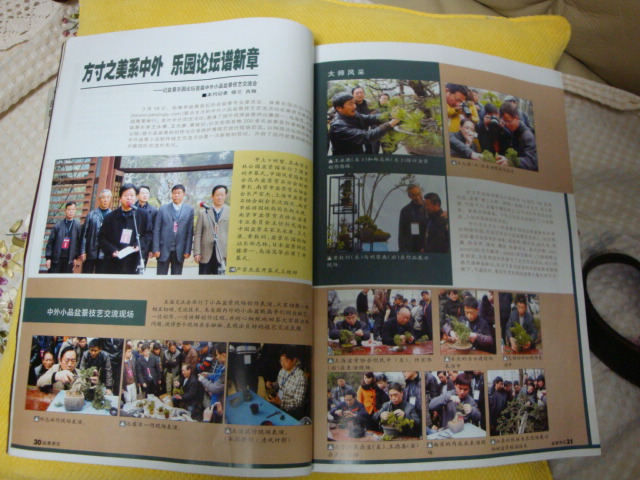 DSC08766.JPG