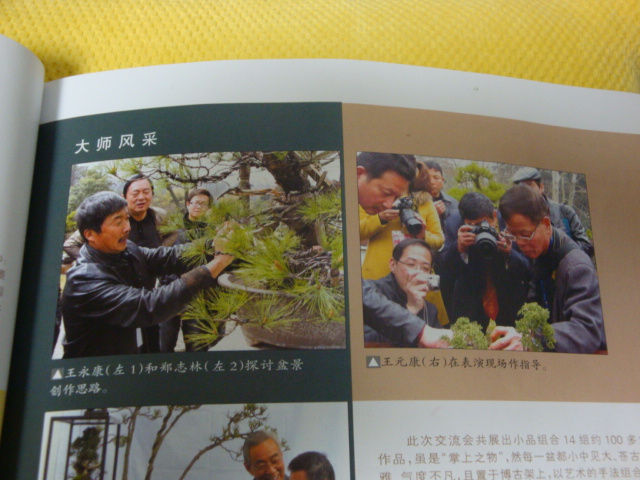 DSC08770.JPG