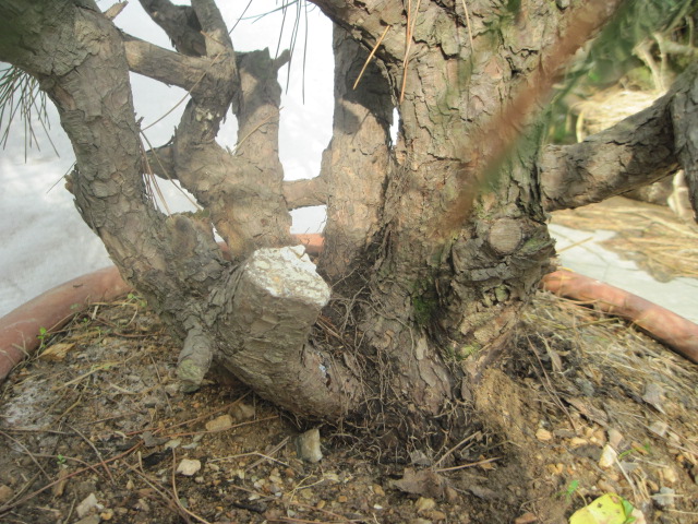 20120429С����Ƭ 024.jpg