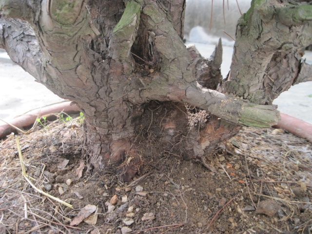 20120429С����Ƭ 026.jpg