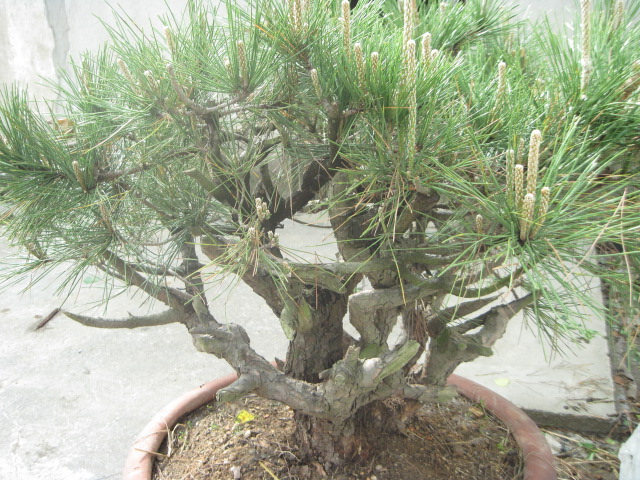 20120429С����Ƭ 027.jpg