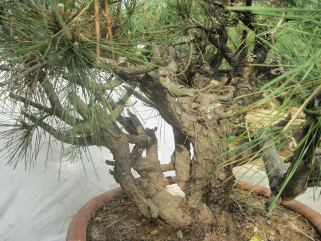 20120429С����Ƭ 029.jpg