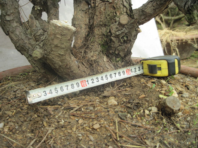 20120429С����Ƭ 030.jpg