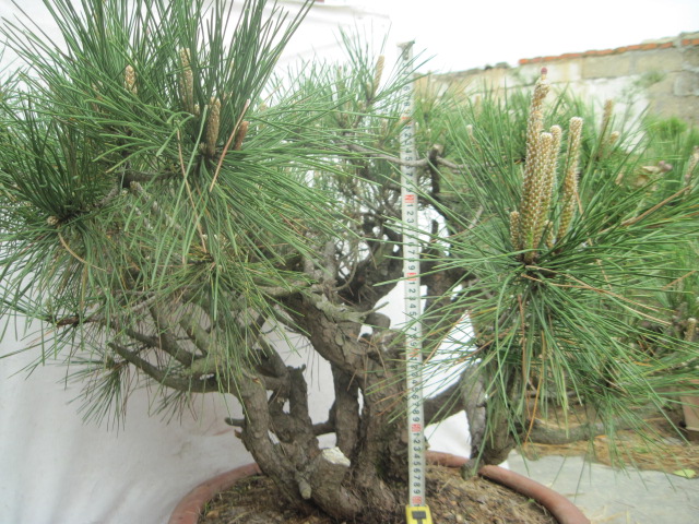 20120429С����Ƭ 031.jpg