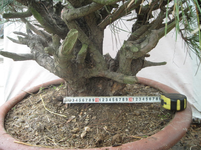 20120429С����Ƭ 034.jpg