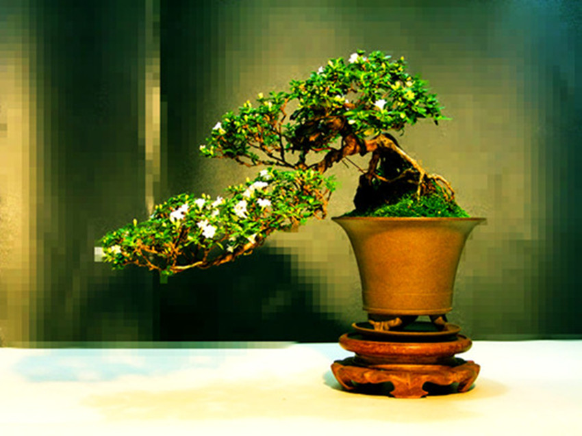 DSCF7840__.jpg