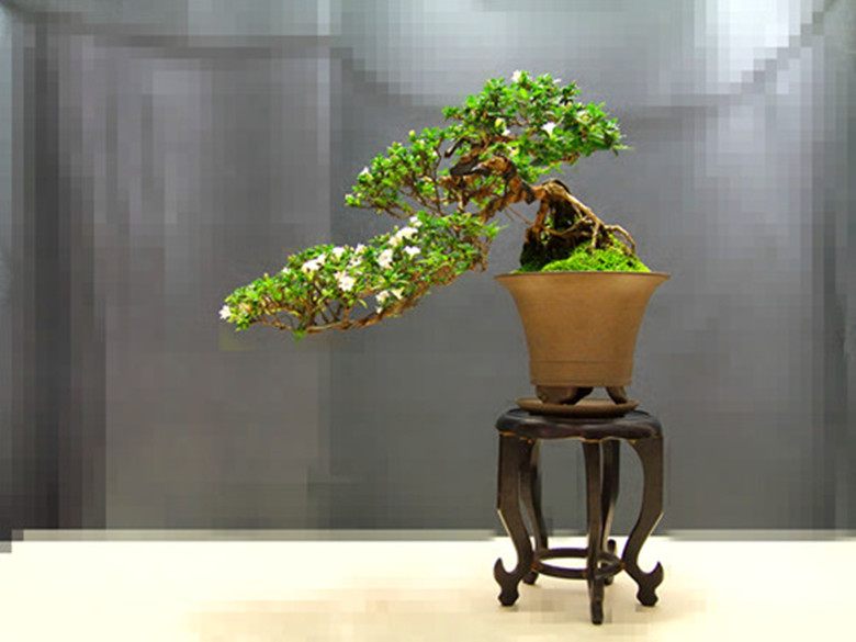 DSCF7845__.jpg