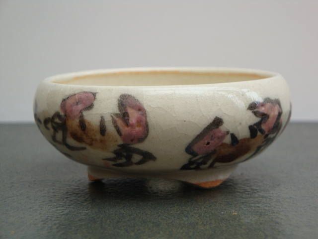 DSC08775.JPG