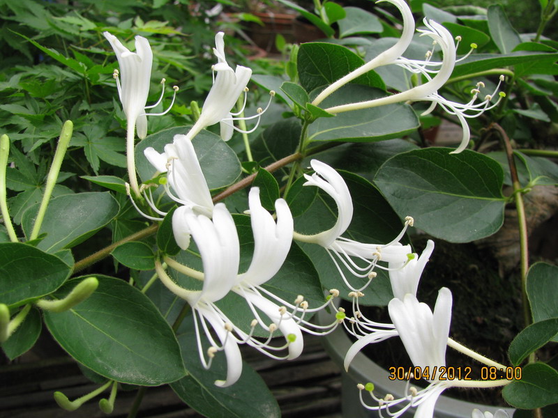  20120430 006.jpg