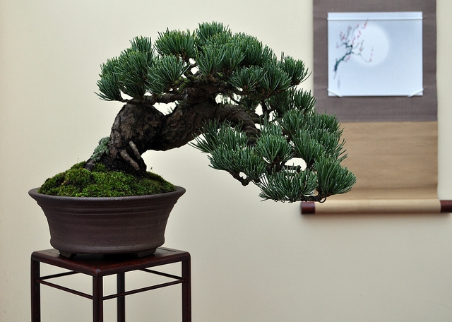 BSA 6th annual exhibition march 2012 009.jpg