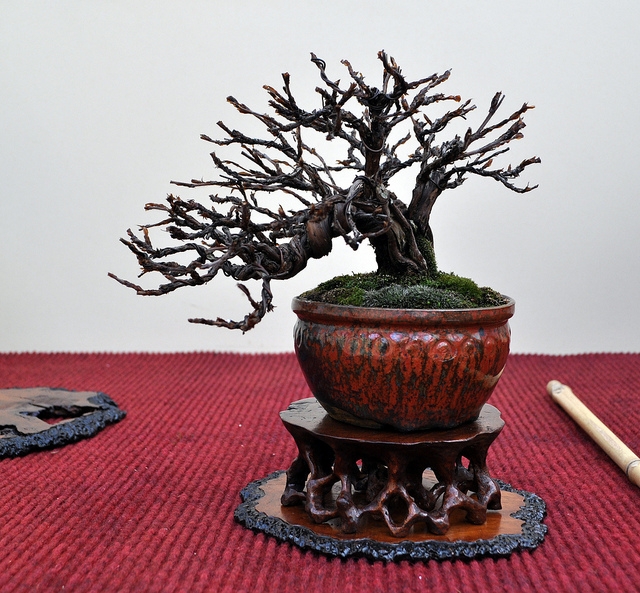 BSA 6th annual exhibition march 2012 013.jpg