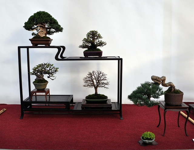 BSA 6th annual exhibition march 2012 057.jpg