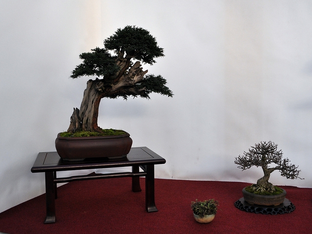 BSA 6th annual exhibition march 2012 064.jpg