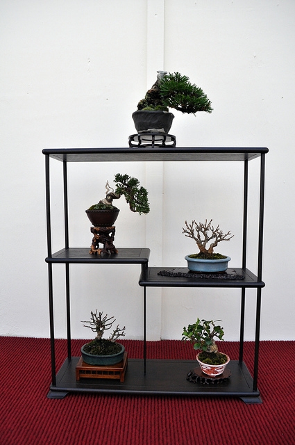BSA 6th annual exhibition march 2012 097.jpg