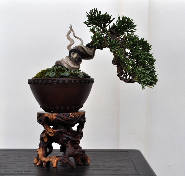 BSA 6th annual exhibition march 2012 105.jpg