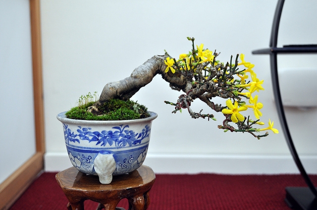 BSA 6th annual exhibition march 2012 116.jpg