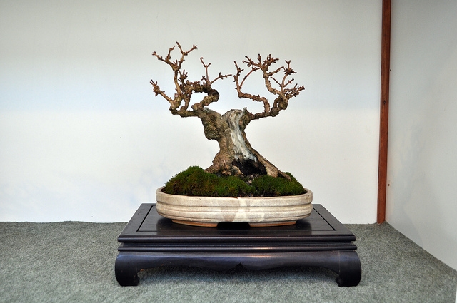 BSA 6th annual exhibition march 2012 118.jpg