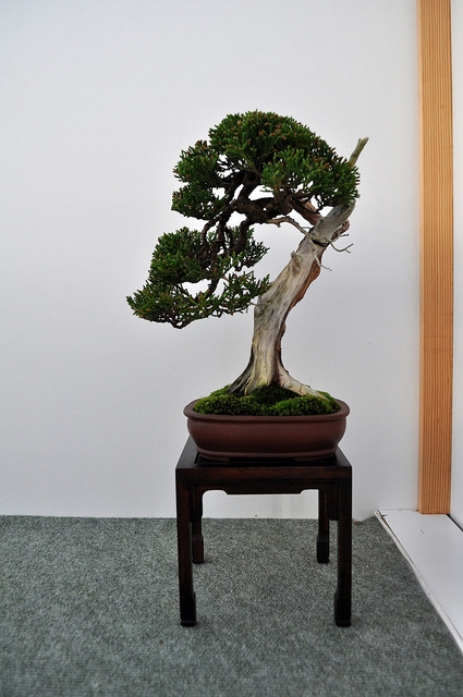 BSA 6th annual exhibition march 2012 126.jpg