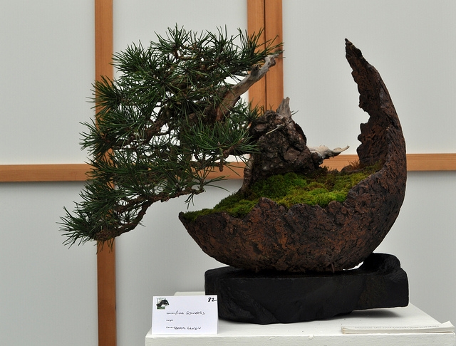 BSA 6th annual exhibition march 2012 138.jpg
