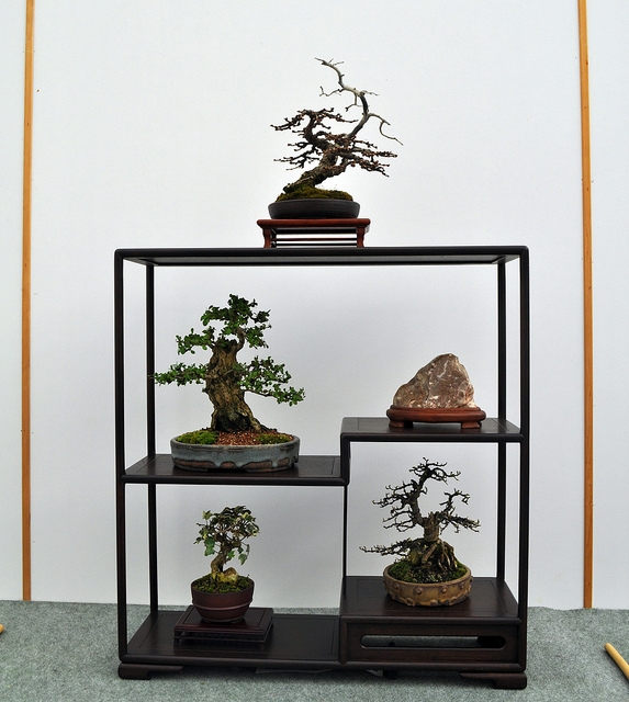 BSA 6th annual exhibition march 2012 142.jpg