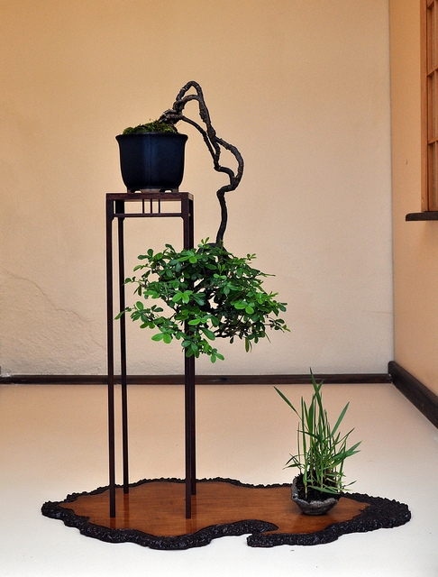 BSA 6th annual exhibition march 2012 167.jpg