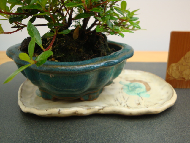 DSC08781.JPG
