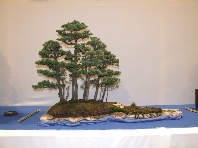 Noelanders Trophy XIII 2012 5a.jpg