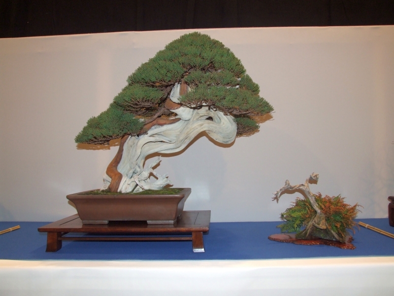 Noelanders Trophy XIII 2012 8a.jpg