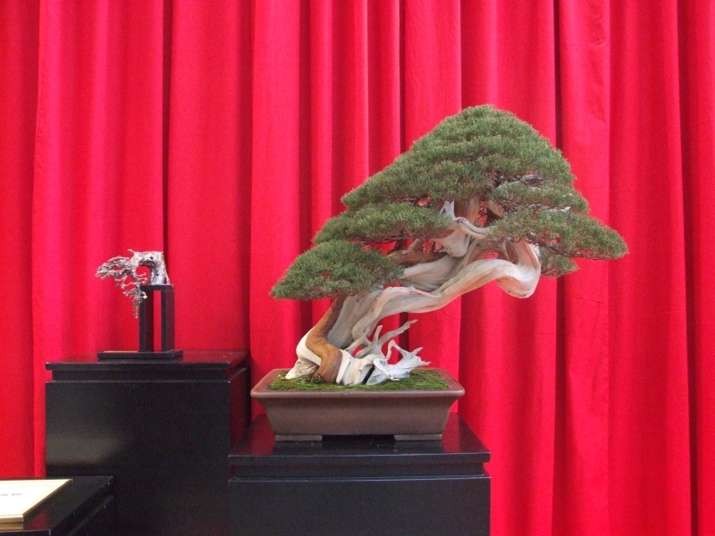 Noelanders Trophy XIII 2012 8d.jpg