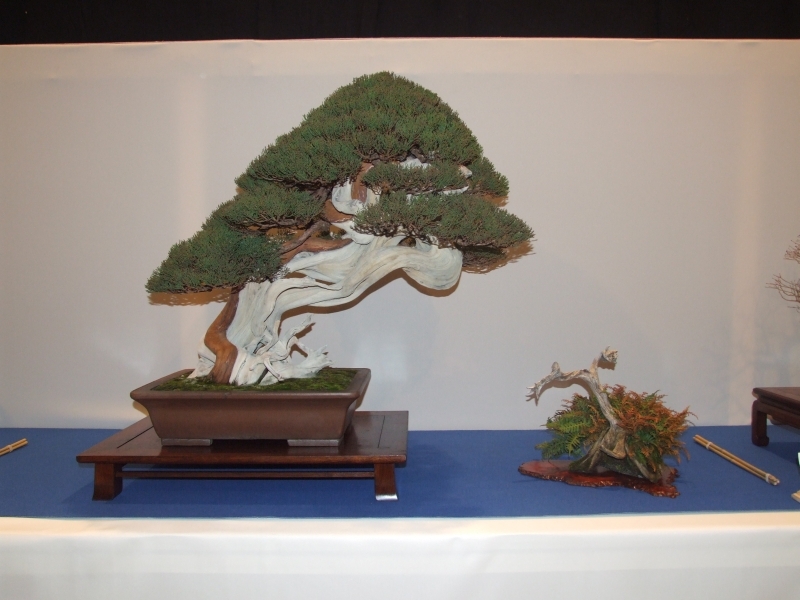 Noelanders Trophy XIII 2012 8h.jpg