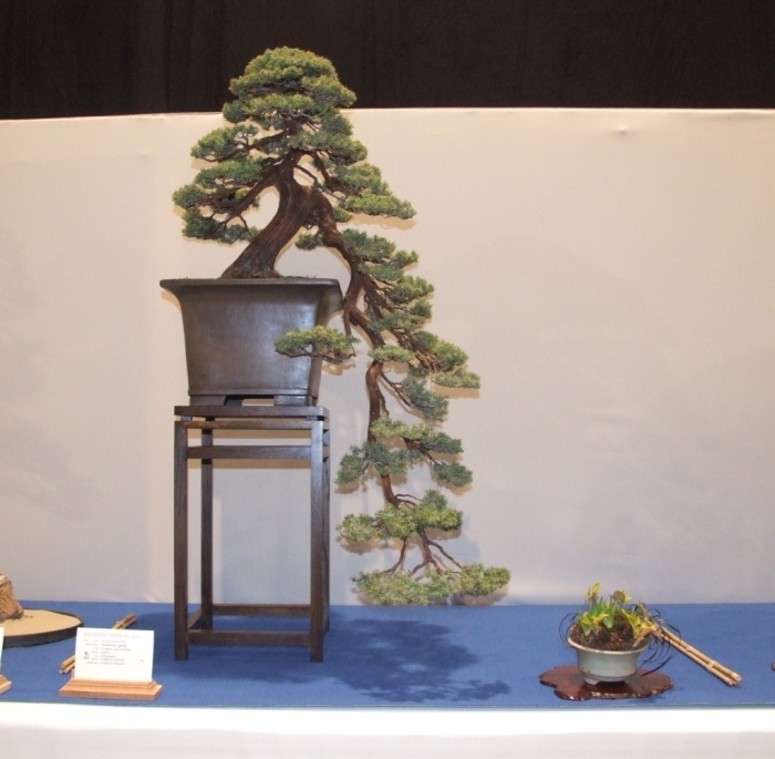 Noelanders Trophy XIII 2012 10b.jpg