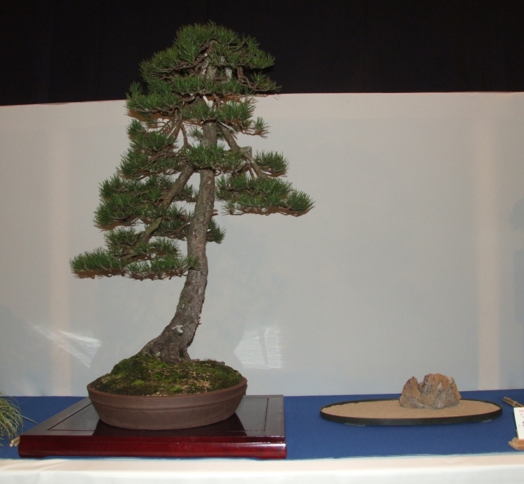 Noelanders Trophy XIII 2012 11b.jpg