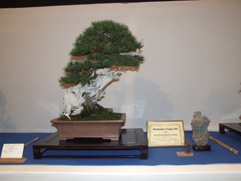 Noelanders Trophy XIII 2012 13d.jpg