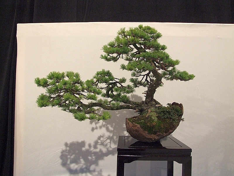 Noelanders Trophy XIII 2012 15b.jpg