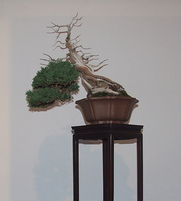 Noelanders Trophy XIII 2012 18c.jpg
