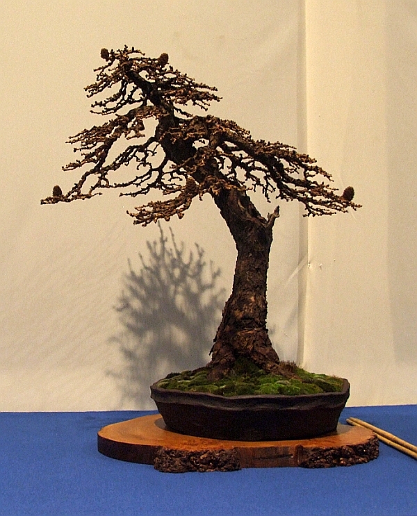 Noelanders Trophy XIII 2012 26c.jpg