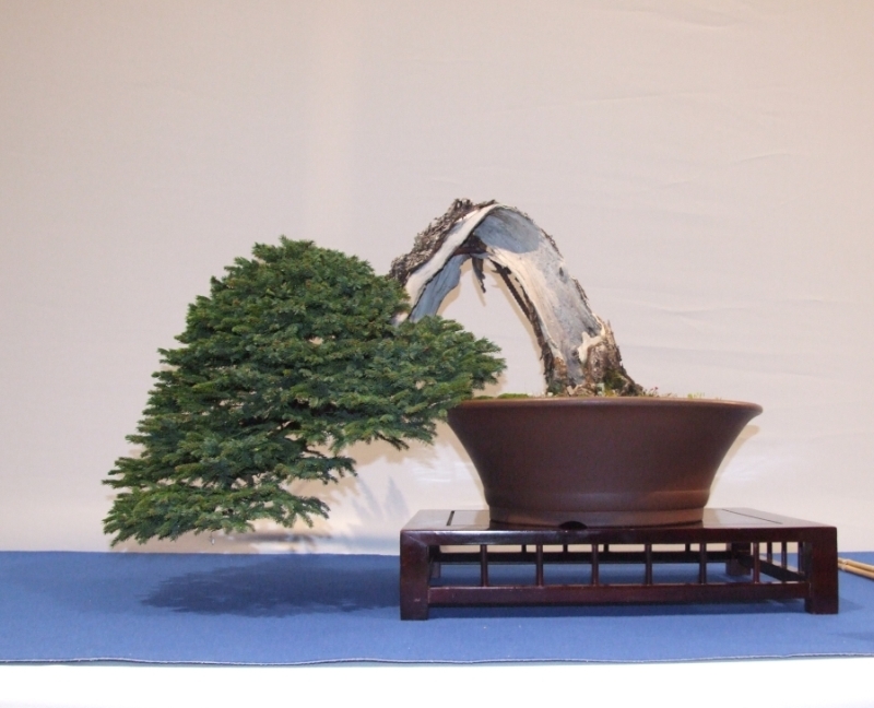 Noelanders Trophy XIII 2012 29c.jpg