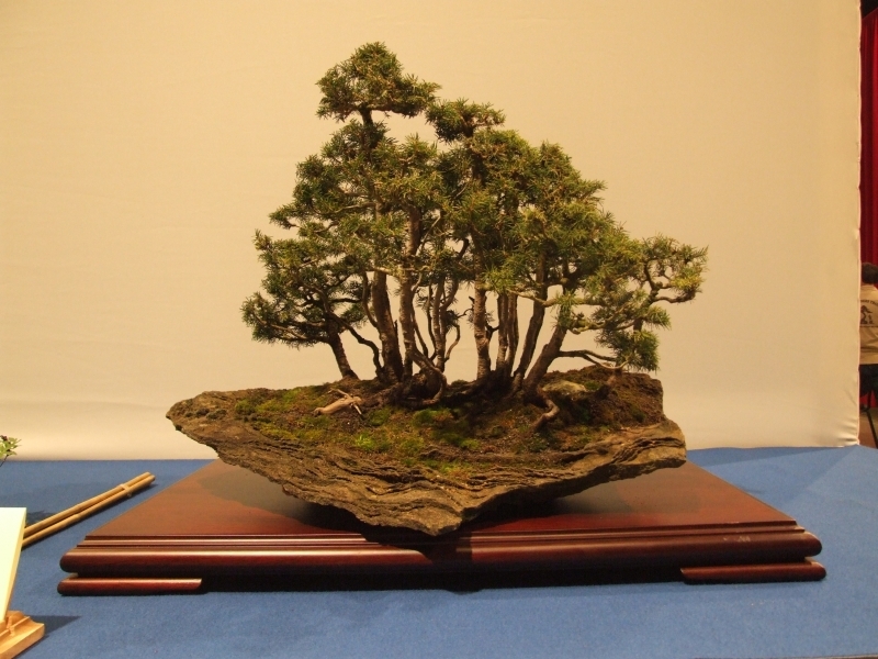 Noelanders Trophy XIII 2012 32a.jpg