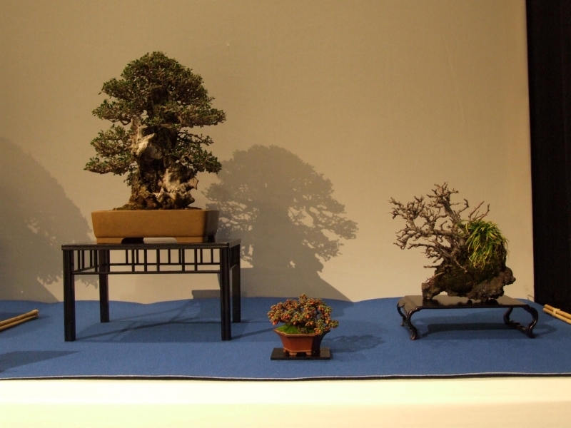 Noelanders Trophy XIII 2012 33b.jpg