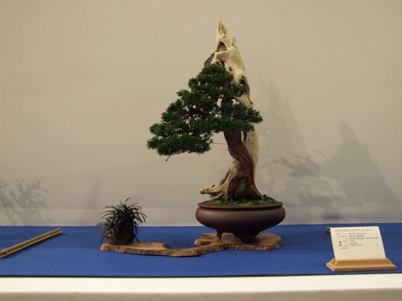 Noelanders Trophy XIII 2012 39a.jpg