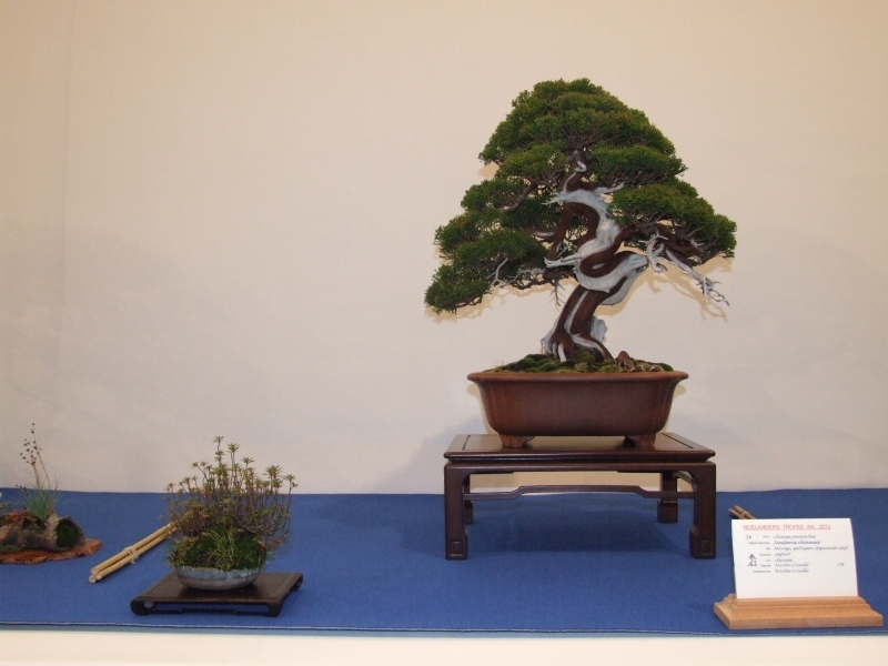 Noelanders Trophy XIII 2012 44a.jpg