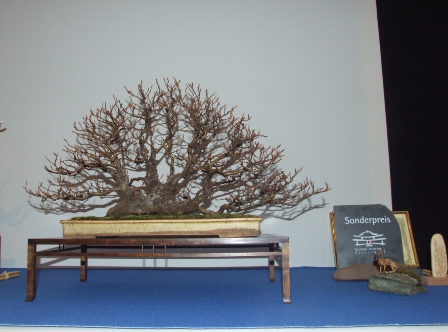Noelanders Trophy XIII 2012 48a.jpg
