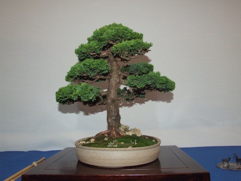 Noelanders Trophy XIII 2012 53b.jpg
