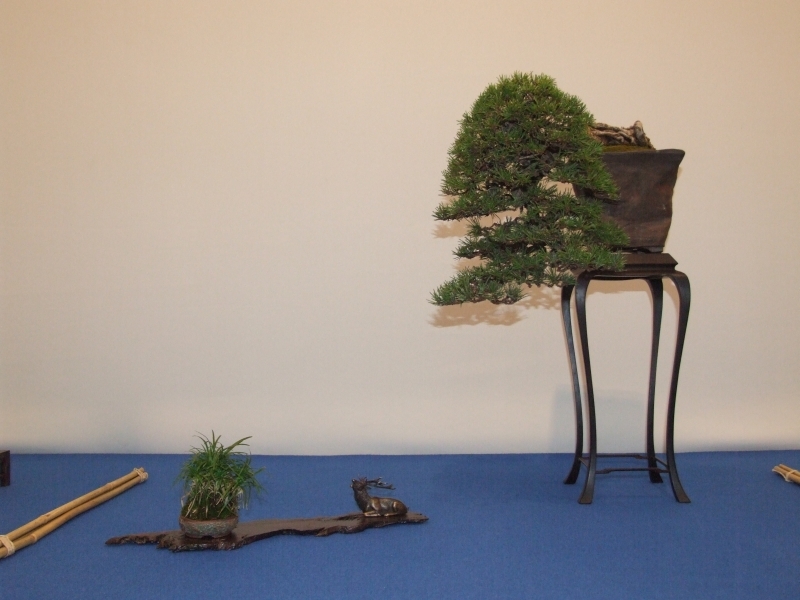 Noelanders Trophy XIII 2012 62a.jpg