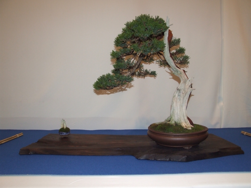 Noelanders Trophy XIII 2012 75a.jpg