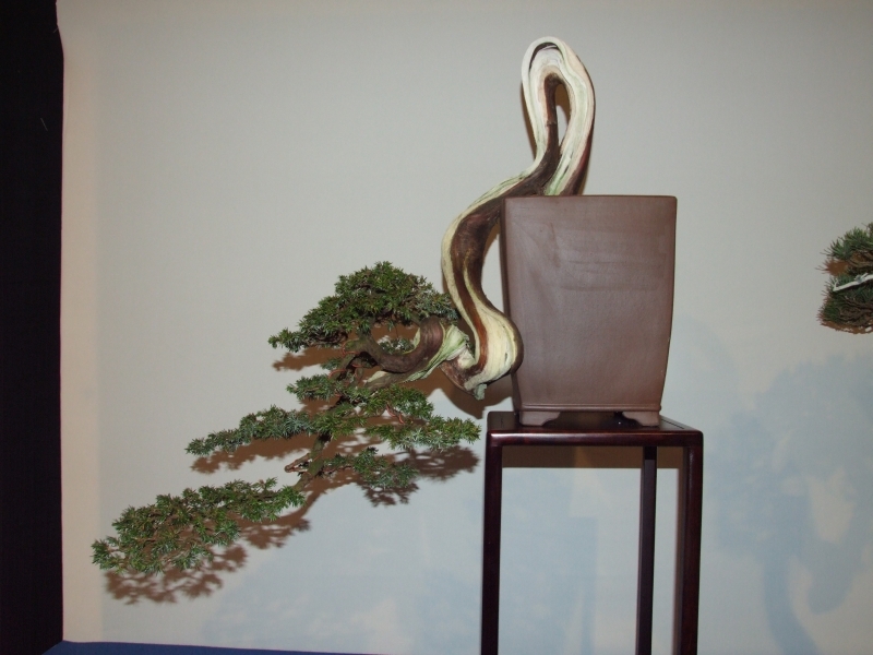 Noelanders Trophy XIII 2012 77c.jpg