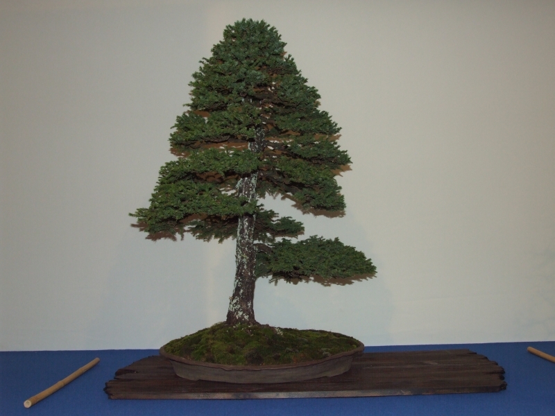 Noelanders Trophy XIII 2012 79e.jpg